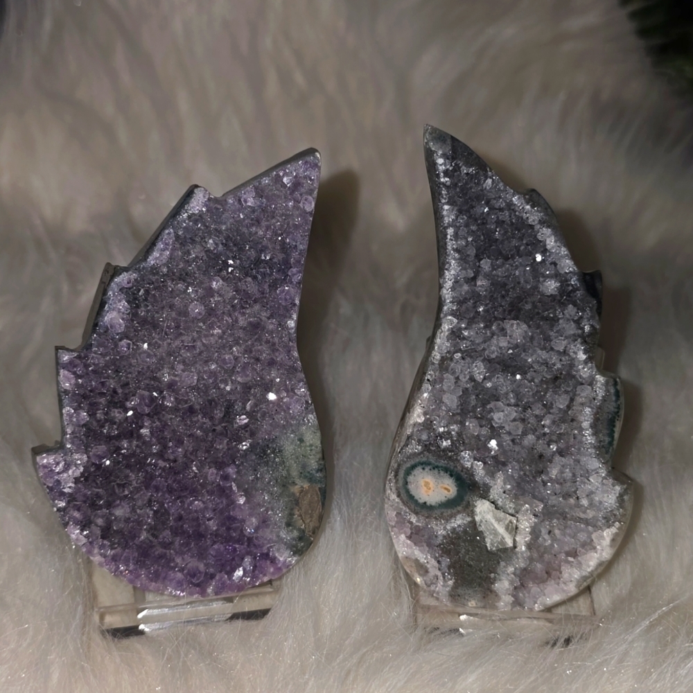 Amazing Amethyst Wings!